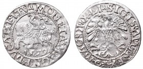 Sigismund II Augustus, Half-groat 1559, Vilnius - LI/LITV
Zygmunt II August, Półgrosz 1559, Wilno - LI/LITV
 Ładnie zachowany egzemplarz, patyna. Br...