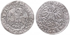 Sigismund II Augustus, Half-groat 1560, Vilnius, L/LITV
Zygmunt II August, Półgrosz 1560, Wilno, L/LITV
 Ładnie wybity, lekko obiegowy egzemplarz. P...