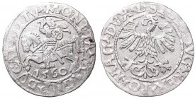 Sigismund II Augustus, Half-groat 1560, Vilnius, L/LITV
Zygmunt II August, Półgrosz 1560, Wilno, L/LITV
 Ładnie zachowany egzemplarz, niedobity. Odm...