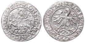 Sigismund II Augustus, Half-groat 1560, Vilnius, L/LITVA
Zygmunt II August, Półgrosz 1560, Wilno, L/LITVA
 Bardzo ładnie zachowany egzemplarz, połys...