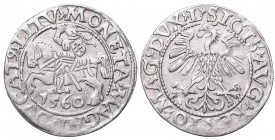 Sigismund II Augustus, Half-groat 1560, Vilnius, L/LITV
Zygmunt II August, Półgrosz 1560, Wilno, L/LITV
 Bardzo ładnie zachowany detal, delikatnie n...