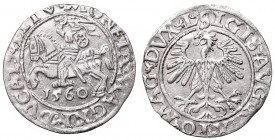 Sigismund II Augustus, Half-groat 1560, Vilnius, L/LITV
Zygmunt II August, Półgrosz 1560, Wilno, L/LITV
 Bardzo ładny, około menniczy egzemplarz. Ła...