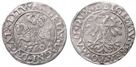 Sigismund II Augustus, Half-groat 1560, Vilnius, L/LITV
Zygmunt II August, Półgrosz 1560, Wilno, L/LITV
 Pięknie zachowany egzemplarz, patyna na cał...