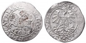Sigismund II Augustus, Half-groat 1560, Vilnius, LI/LITV
Zygmunt II August, Półgrosz 1560, Wilno, LI/LITV
 Bardzo ładnie zachowany egzemplarz, połys...