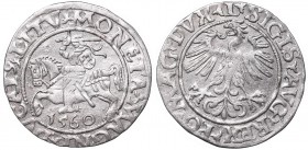 Sigismund II Augustus, Half-groat 1560, Vilnius, L/LITV
Zygmunt II August, Półgrosz 1560, Wilno, L/LITV
 Pięknie zachowany egzemplarz, ładny detal. ...