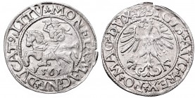 Sigismund II Augustus, Half-groat 1561, Vilnius, L/LITV
Zygmunt II August, Półgrosz 1561, Wilno, L/LITV
 Bardzo ładnie zachowany egzemplarz. Odmiana...