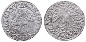 Sigismund II Augustus, Half-groat 1562, Vilnius, L/LITV
Zygmunt II August, Półgrosz 1562, Wilno, L/LITV
 Ładnie wybity egzemplarz w patynie. Odmiana...