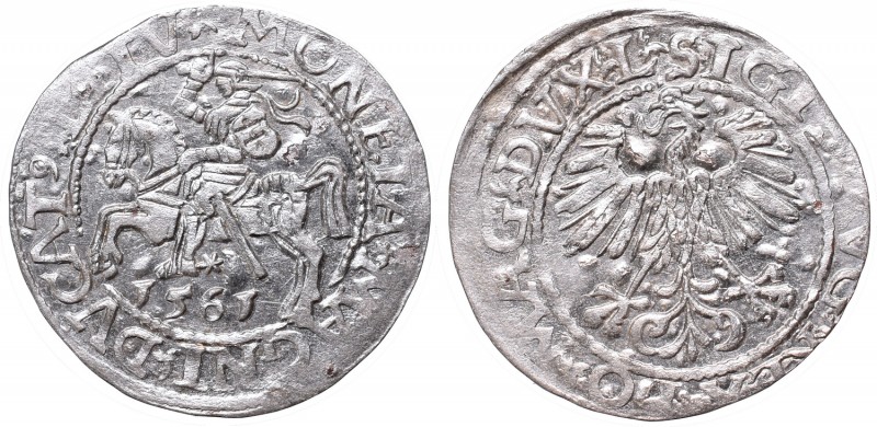 Sigismund II Augustus, Half-groat 1562, Vilnius, L/LITV
Zygmunt II August, Półg...