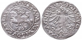 Sigismund II Augustus, Half-groat 1563, Vilnius, L/LITV
Zygmunt II August, Półgrosz 1563, Wilno, L/LITV
 Ładny, niedobity egzemplarz, patyna. Odmian...