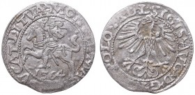 Sigismund II Augustus, Half-groat 1564, Vilnius, L/LITVA
Zygmunt II August, Półgrosz 1564, Wilno, L/LITVA
 Ładnie wybity egzemplarz, patyna. Odmiana...