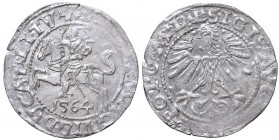 Sigismund II Augustus, Half-groat 1564, Vilnius, L/LITV
Zygmunt II August, Półgrosz 1564, Wilno, L/LITV
 Piękny, około menniczy egzemplarz, intensyw...