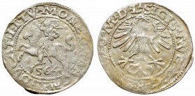 Sigismund II Augustus, 1/2 groschen 1564, Vilnius - L/LITV
Zygmunt II August, Półgrosz 1564, Wilno - L/LITV
 Ładny detal, jednak z delikatnym wykrus...