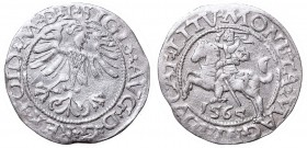 Sigismund II Augustus, Half-groat 1564, Vilnius, L/LITV
Zygmunt II August, Półgrosz 1565, Wilno, L/LITV
 Dosyć ładnie wybity, uderzony podwójnie (zd...