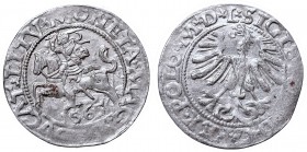Sigismund II Augustus, Half-groat 1565, Vilnius, L/LITV
Zygmunt II August, Półgrosz 1565, Wilno, L/LITV
 Ładnie wybity egzemplarz, lekko niedobity, ...