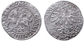 Sigismund II Augustus, Half-groat 1565, Vilnius, L/LITV
Zygmunt II August, Półgrosz 1565, Wilno, L/LITV
 Ładnie wybity, miejscowo niedobity egzempla...