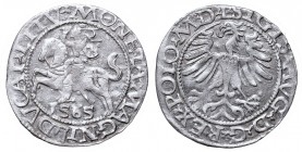Sigismund II Augustus, Half-groat 1565, Vilnius, L/LITV
Zygmunt II August, Półgrosz 1565, Wilno, L/LITV
 Ładny, lekko przetarty egzemplarz. Odmiana ...