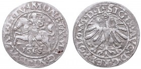 Sigismund II Augustus, Half-groat 1565, Vilnius, L/LITV
Zygmunt II August, Półgrosz 1565, Wilno, L/LITV
 Ładny egzemplarz, patyna, nalot. Odmiana z ...
