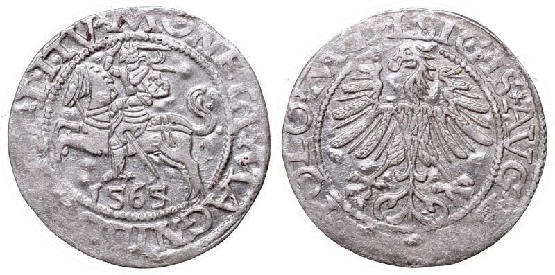 Sigismund II Augustus, Half-groat 1565, Vilnius, L/LITV
Zygmunt II August, Półg...