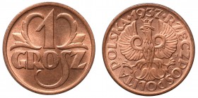II Republic of Poland, 1 groschen 1937
II Rzeczpospolita, 1 grosz 1937
 Piękny, menniczy egzemplarz. Naturalny kolor. 

Grade: UNC 
 Polen, Polan...