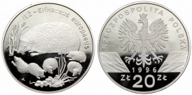 III RP, 20 złotych 1996 Jeż
 Pojedyncze ryski i drobne skazy mennicze. 

Grade: Proof-/Proof 
 Polen, Poland