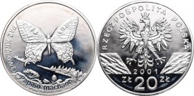 III RP, 20 zlotych 2001, Swallowtail butterfly
III RP, 20 złotych 2001, Paź Królowej
 Patyna, nalot. 

Grade: Proof-/Proof 
 Polen, Poland