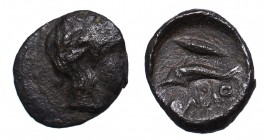 Greece, Olbia, Ae9 II Half of IV century BC
Grecja, Olbia, AE9 II poł. IV wieku pne
 Rzadsza wersja małego brązu z delfinem w lewo. Typowe przesunię...