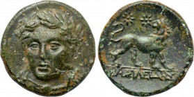 IONIA. Miletos. Ae (Circa 259-246 BC). Basileides, magistrate.