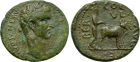 PHOENICIA. Berytus. Divus Nerva (Died 98). Ae. Struck under Trajan.