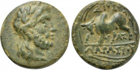 LYDIA. Tralles. Ae (3rd century BC).
