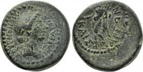 LYDIA. Tralles (as Caesarea). Vedius Pollio (Legate of Asia, circa 29/8-27 BC). Ae. Menandros, son of Parrhasios, magistrate.
