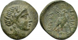 SELEUKID KINGDOM. Achaios (Usurper, 220-214 BC). Ae. Sardes.