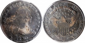 1800 Draped Bust Silver Dollar. BB-185, B-20. Rarity-6. B-20 BB-185. VG Details--Holed and Plugged (PCGS).
This is believed to be the rarest variety ...