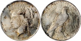 1923 Peace Silver Dollar. MS-65 (PCGS). Retro OGH.
PCGS# 7360. NGC ID: 257F.
Estimate: $125.00