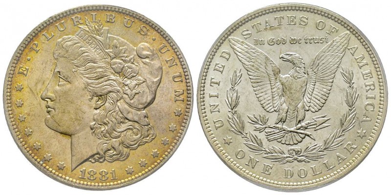 Morgan Dollar, Philadelphia, 1881, AG
Conservation : PCGS MS63