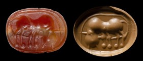 An etruscan carnelian scarab. Quadrupede.
4th century B.C.
10 x 13 x 7 mm

Drilled lenghtwise.The reverse engraved with a quadrupede facing right....