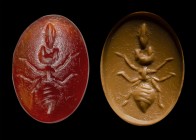 A roman carnelian intaglio. Ant. 
2nd - 3rd century A.D.
8 x 12 x 3 mm

The insect is holding a seed of a corn. Wear marks.