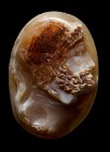 A postclassical three-layers agate cameo. Bust of Mars.
16th - 18th century
18 x 26 x 6 mm

The helmeted god is facing right, characterized by a t...