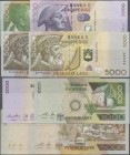 Albania: Set with 4 banknotes 1000, 2000 and 2x 5000 Leke 1996-2007, P.66, 69, 70, 74a, 1000 and 2000 Leke in UNC, both of the 5000 in VF+/XF. (4 pcs....