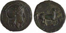 Sicile, Camarina, petit bronze, c.339-300 av. J.-C.
A/ΚΑΜΑΡΙΝΑΙΩΝ
Tête casquée d'Athéna à gauche
Cheval galopant à droite, au-dessous un épi
TTB, ...
