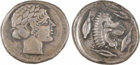 Sicile, Léontini, tétradrachme, c.450-440 av. J.-C
A/Anépigraphe
Tête laurée d'Apollon à droite
R/[LE]O-N-TI-N[O-N]
Tête de lion à droite, la gueu...