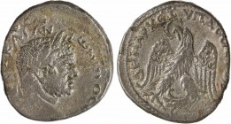 Syrie, Berytus (Beyrouth), Caracalla, tétradrachme, 215-217
A/[AYT] KAI AN-TWNINOC [CE]
Tête laurée à droite
R/DHMARX EQ YPATO[CTO D]
Aigle debout...