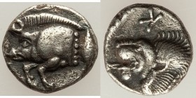 MYSIA. Cyzicus. Ca. 5th century BC. AR obol (9mm, 0.77 gm, 11h). Choice XF. Forepart of boar left, tunny upward behind / Head of lion left; retrograde...