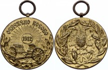 Serbia Bronze Medal Capture of Kosovo 1912
Peter I; XF