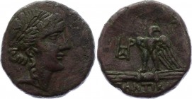 Ancient Greece Pantikapaion AE obol 65 - 63 B.C.
Pantikapaion. 65-63 BC, Mithridates Eupator rule. AE Obol.