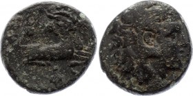 Macedonia AE - Bronze 4th Century B.C.
Macedonia - ancient kingdom. VF.