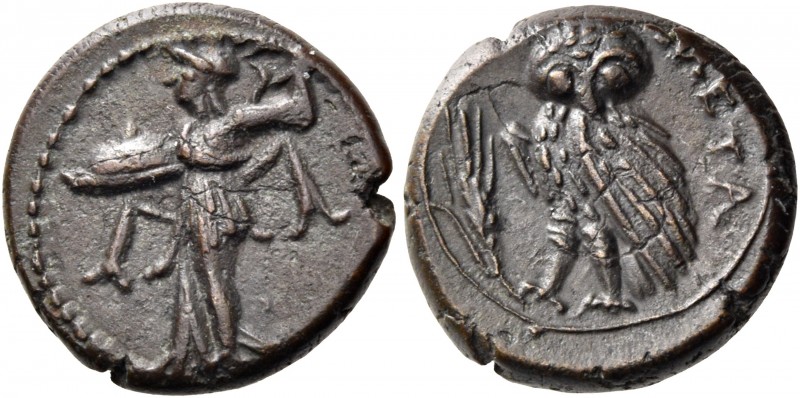 Lucania 
Metapontum. Circa 300-250 BC. Chalkous (Bronze, 15 mm, 3.49 g, 10 h). ...