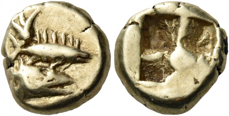 Mysia 
Kyzikos. Circa 550-500 BC. Hekte (Electrum, 10.5 mm, 2.70 g). Head of a ...