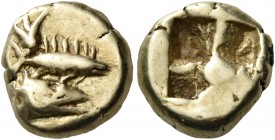 Mysia 
Kyzikos. Circa 550-500 BC. Hekte (Electrum, 10.5 mm, 2.70 g). Head of a tunny fish to right, with open jaws; above, multi-finned fish (another...