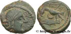 VELIOCASSES (Area of Norman Vexin)
Type : Bronze DVCOMARO / RATVMACIA, à l’aigle et au poisson 
Date : c. 50-40 AC. 
Metal : bronze 
Diameter : 14,5  ...