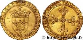 CHARLES VIII
Type : Écu d'or au soleil 
Date : 08/07/1494 
Date : n.d. 
Mint name / Town : Troyes 
Metal : gold 
Millesimal fineness : 963  ‰
Diameter...